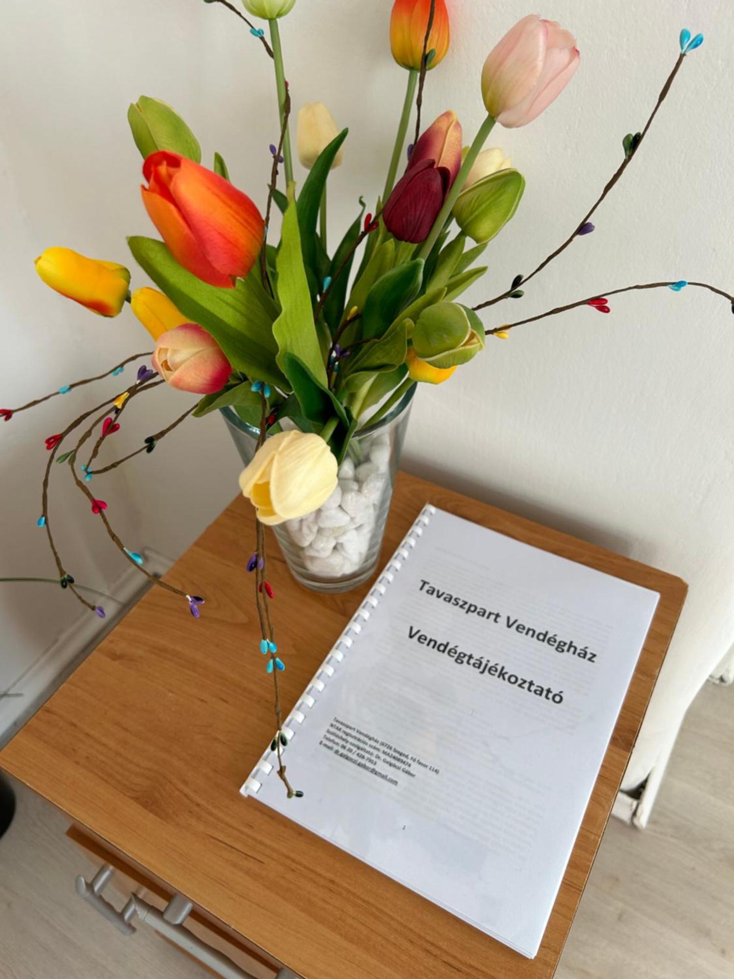 Tavaszpart Vendeghaz Lejlighed Szeged Eksteriør billede
